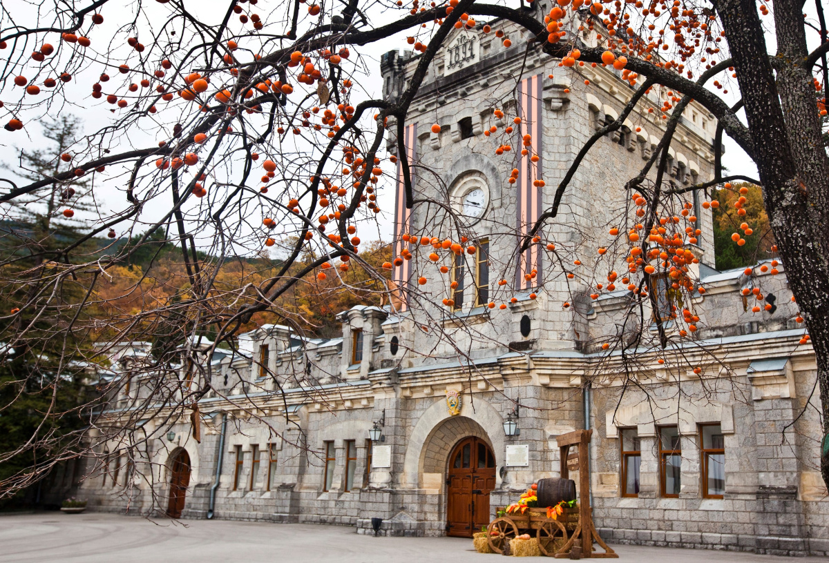 В Крыму учрежден международный винный конкурс. Первый примет «Массандра»
